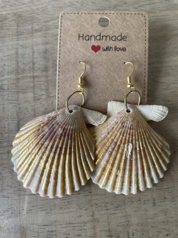 scallop shell earrings