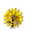 Decorative jewelry pin showing a yellow sunflower with a jeweled bee at the center and wings adorned with crystals