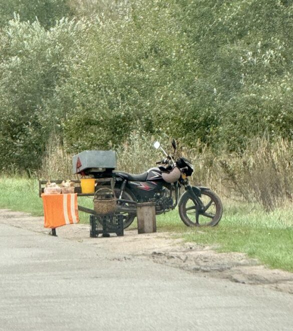 Motorcycle parked beside a roadside vendor stall selling produce, with a cooler on the back and an orange striped cover.