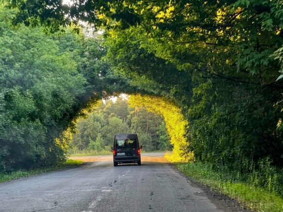 Van driving away on a cracked rural road, framed by a tunnel of lush green trees with sunlight at the end of the archway.