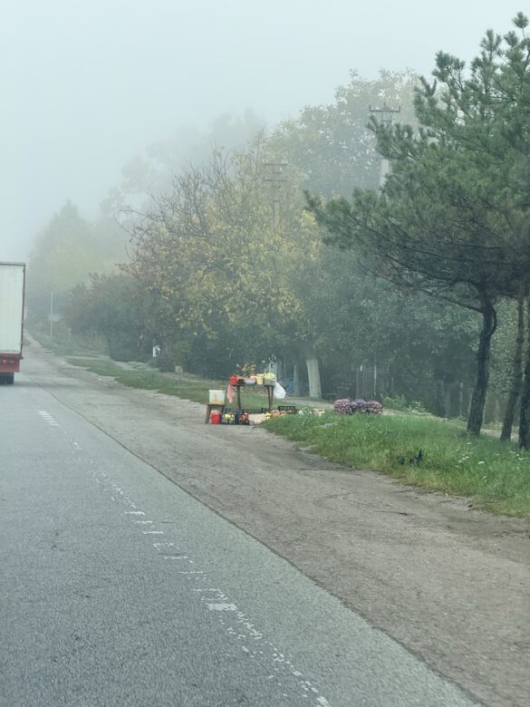 IMG_8471 Foggy roadside scene with a small fruit stand on the right and a truck on the left selling produce ahead.
