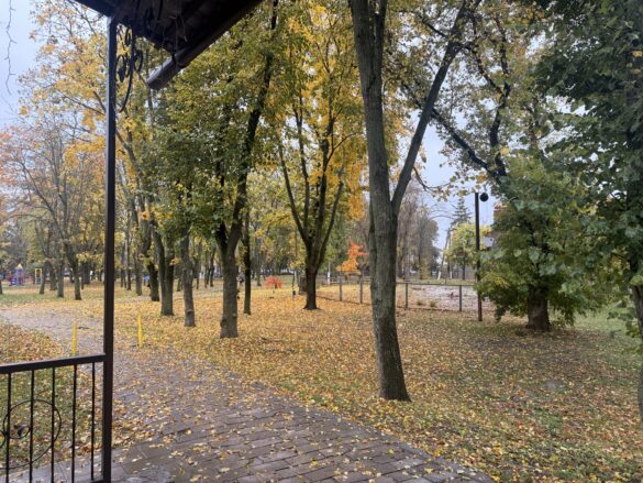 IMG_8619 Park scene in autumn with yellow and orange leaves on the ground and trees; a paved path and gate in the foreground.