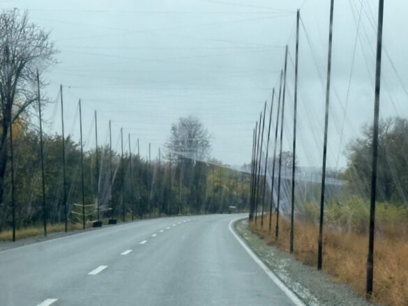 IMG_8633 Empty rural road curves to the right, lined with tall utility poles and overhead wires on both sides, with sparse trees and dry grass along the roadside.