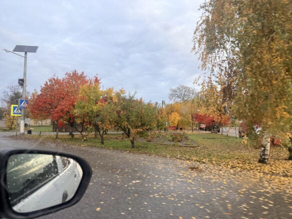 IMG_8641 View from a car window of a park with red, orange, and yellow autumn trees, fallen leaves on the wet ground, and a pedestrian crossing sign in the background.